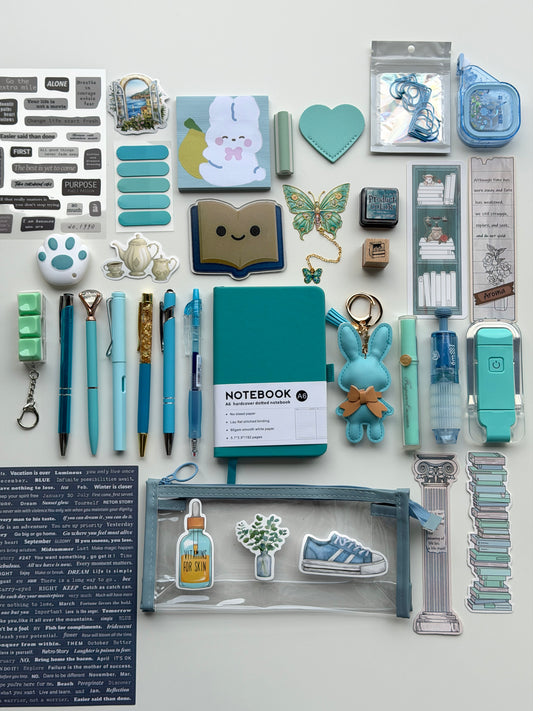 🩵TIFFANY🩵 Bookish Bundle