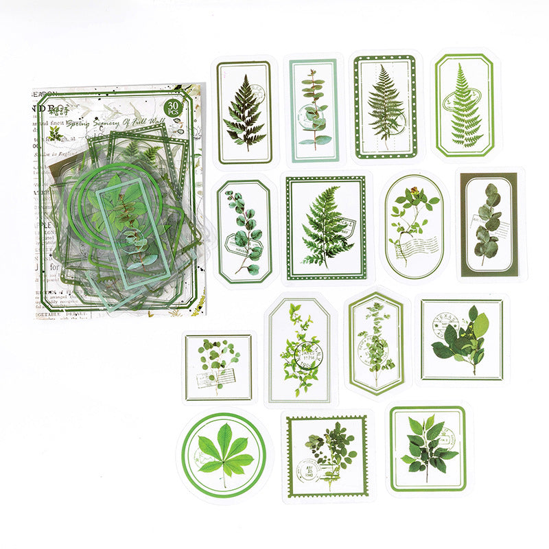 GREEN Transparent Stickers with Flowers